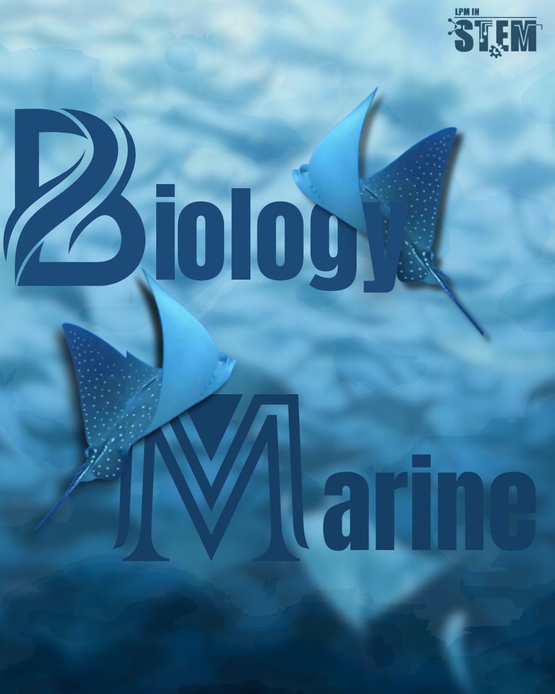 Marine Biology Image